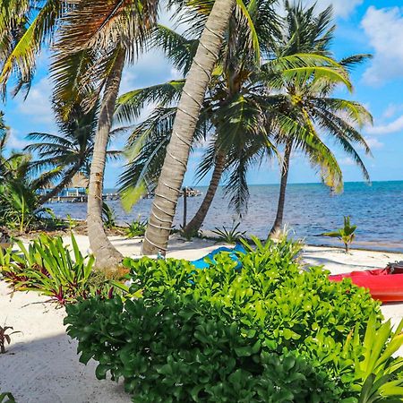 Blue Water Beach Villas San Pedro  Rum bild